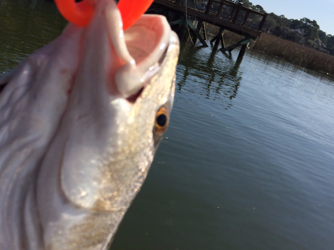 Riveredge Nature Center-Saukville必去景点