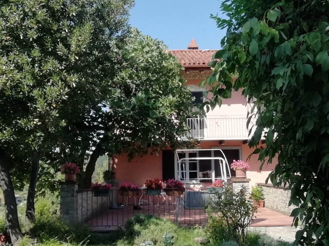 Bed&Breakfast L'alloro主图