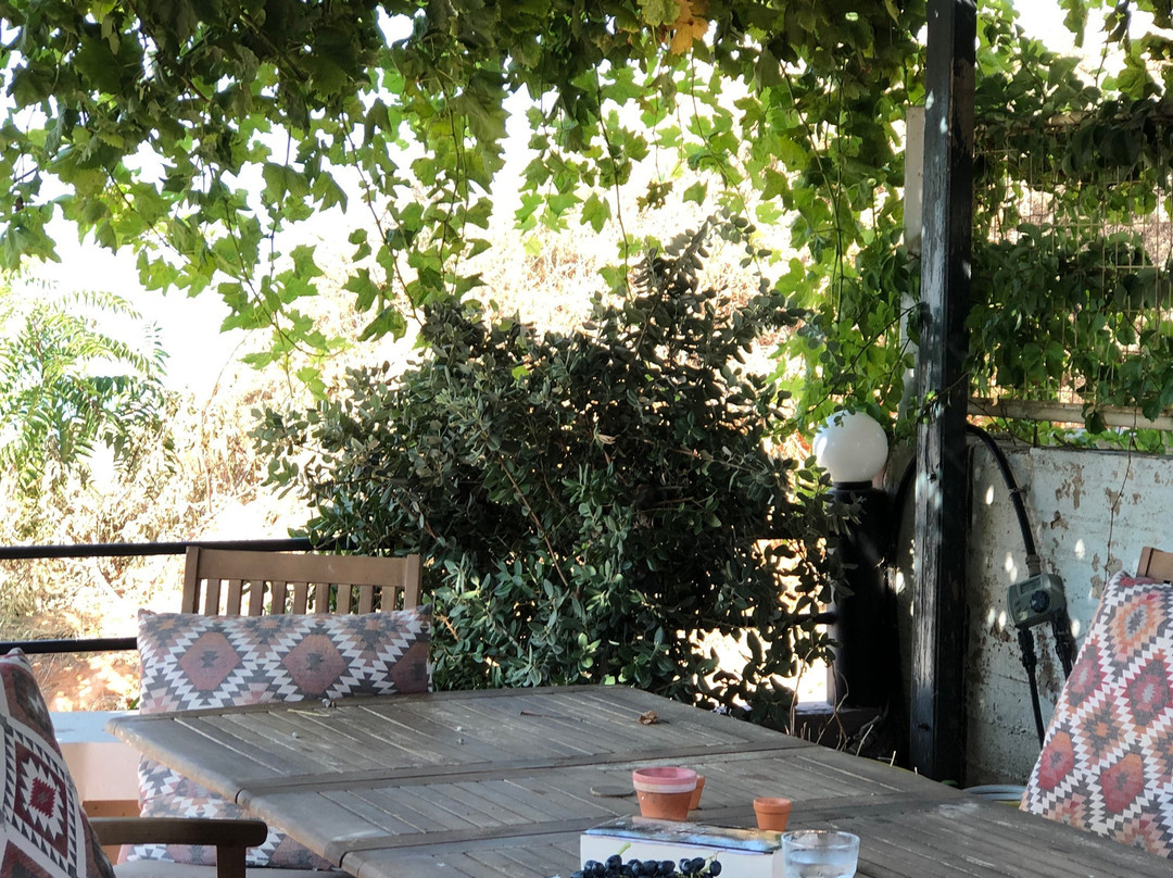 Yasmine Apartments主图