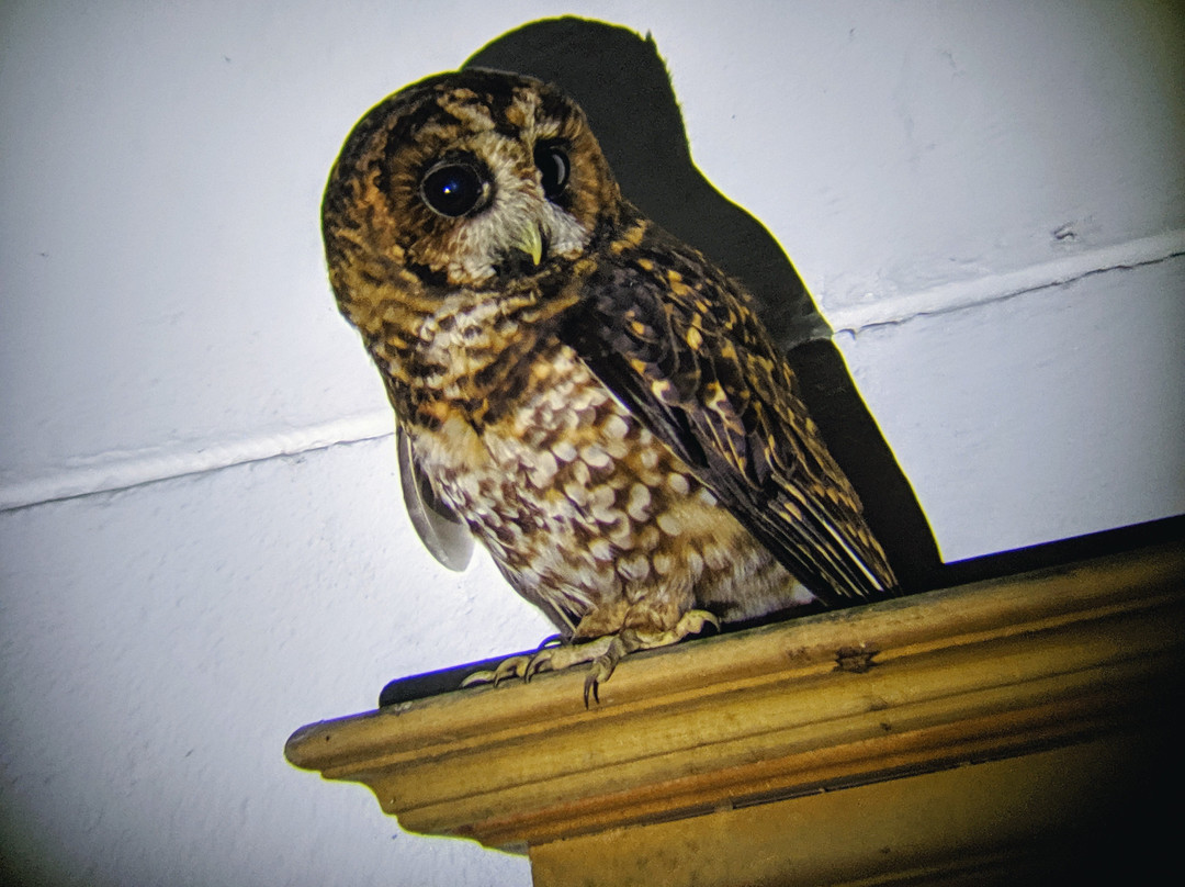 Reserva Ecologica Rio Blanco-Manizales必去景点