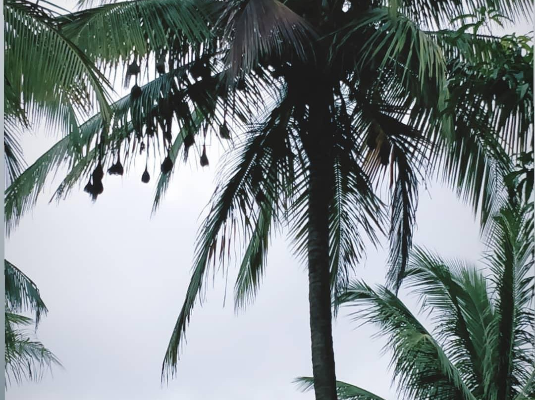 SaffronStays Casa Blanca主图