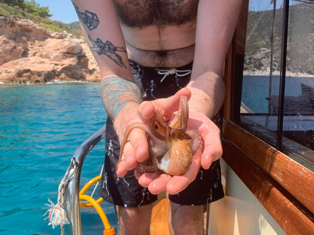 Chillout-卡尔坎必去景点