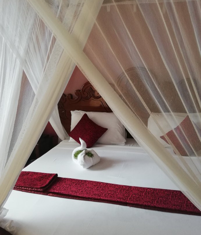 Zanzibar Ocean View主图