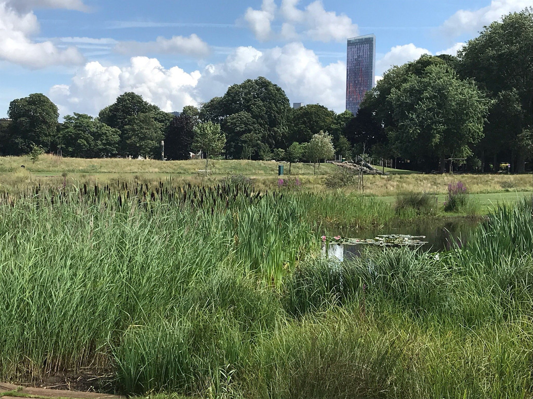 Wandle Park景点图片