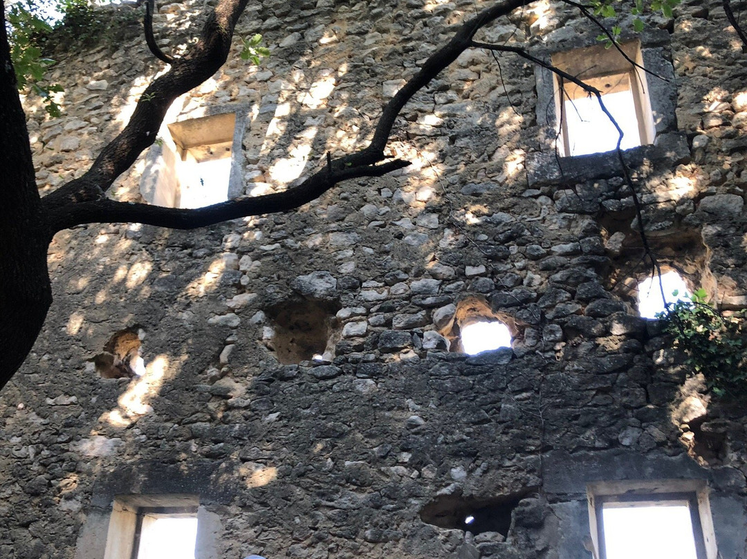 Domaine des Gravennes景点图片
