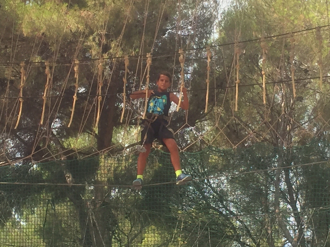 Jungle Trek景点图片