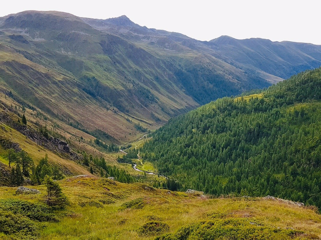 Wanderweg zur Feldnerhütte景点图片
