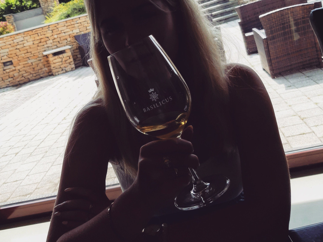 Basilicus Wine Culture Center景点图片
