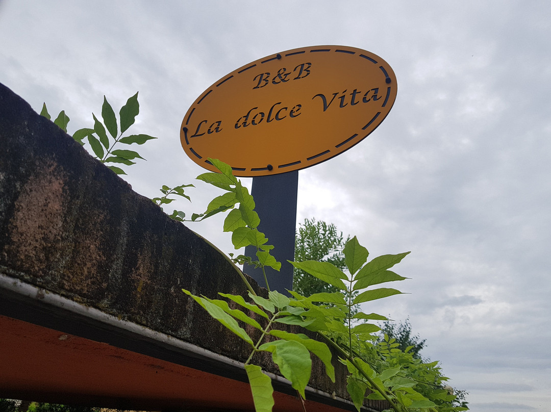 La Dolce Vita主图