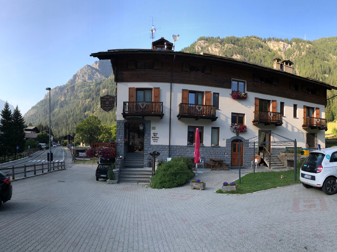 Hotel Flora Alpina主图
