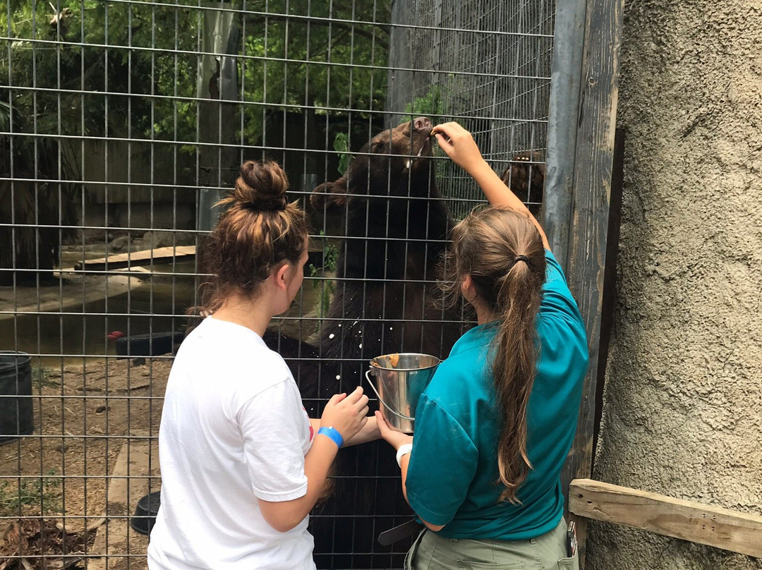 The Texas Zoo-维多利亚必去景点
