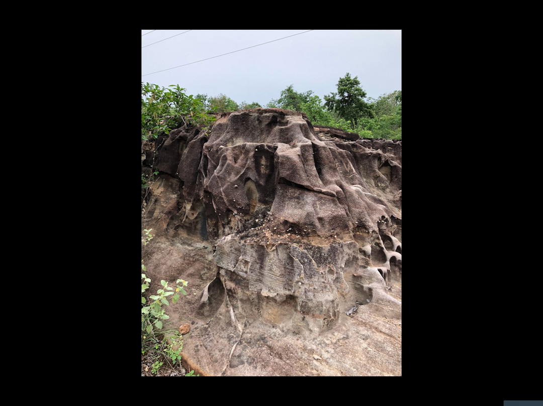 Eturnagaram Wildlife Sanctuary景点图片