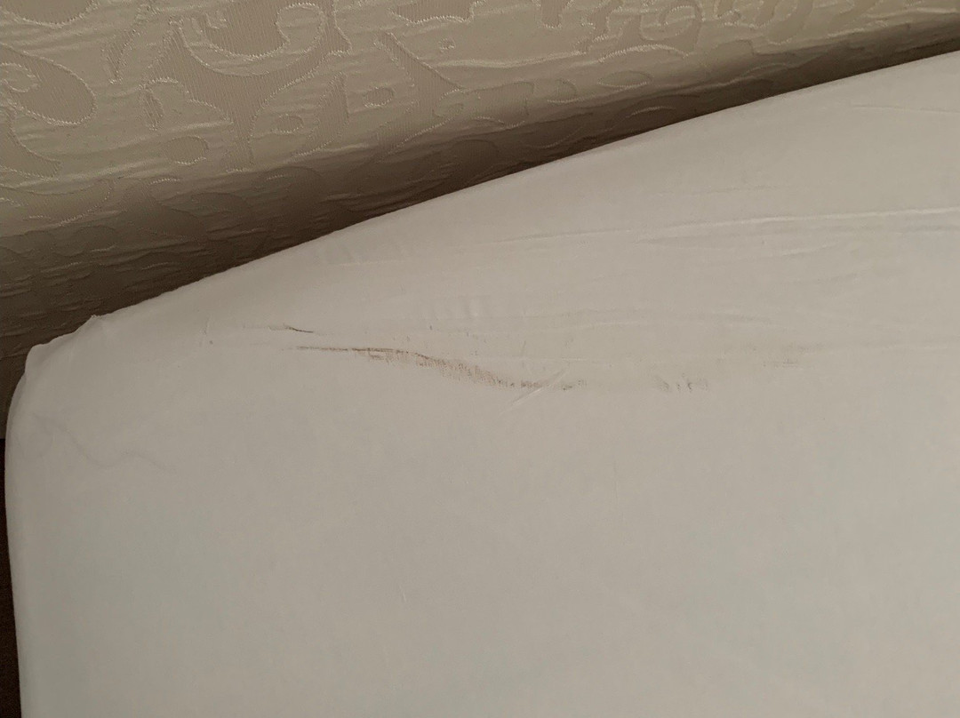 Hotel Aquaris Crivaia主图