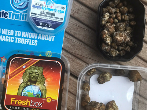 The Magic Mushroom Gallery-阿姆斯特丹必去景点