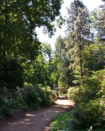 Forstbotanischer Garten-科隆必去景点