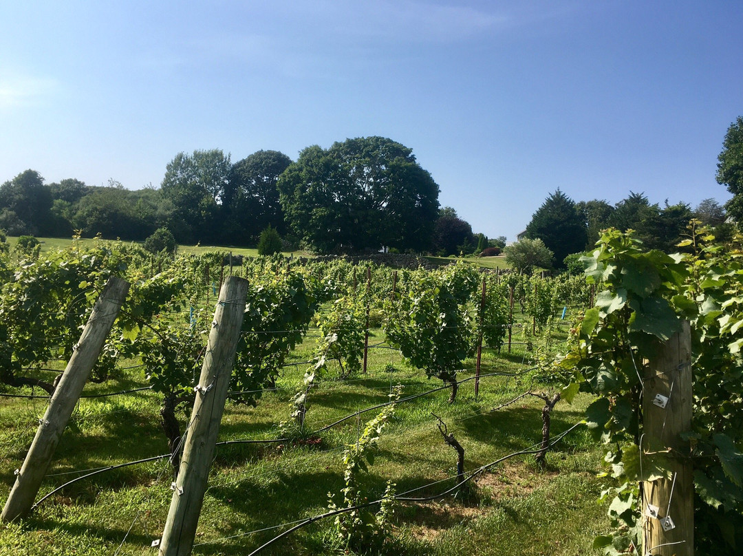 Langworthy Farm Winery景点图片