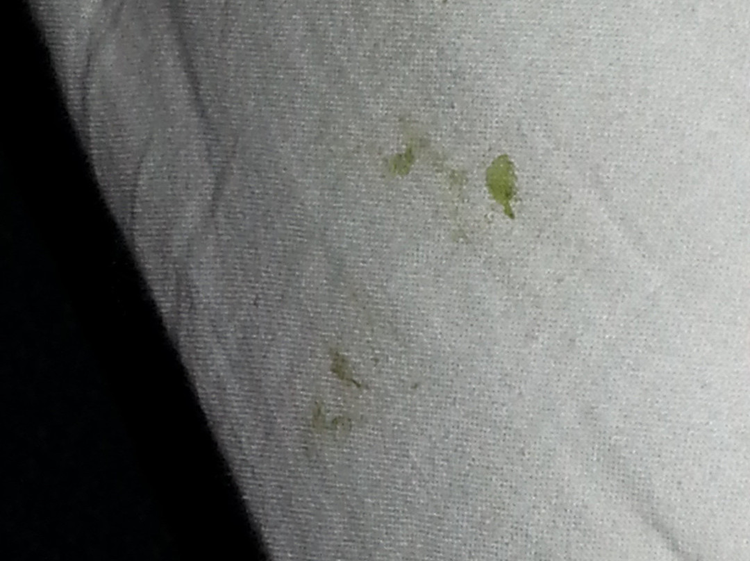 Batemans Bay Marina Resort主图