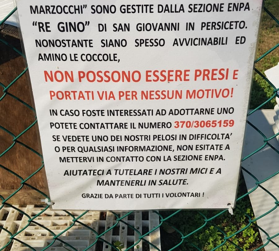 Osservatorio Planetario San Giovanni in Persiceto景点图片