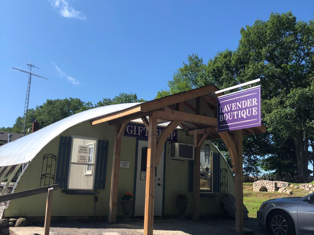 Laveanne-Campbellcroft必去景点