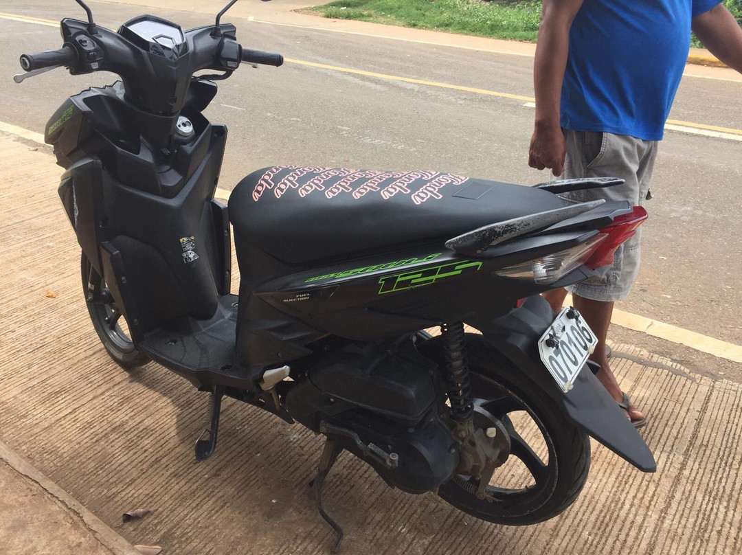 Green Monkey Bike Rental-锡基霍尔必去景点