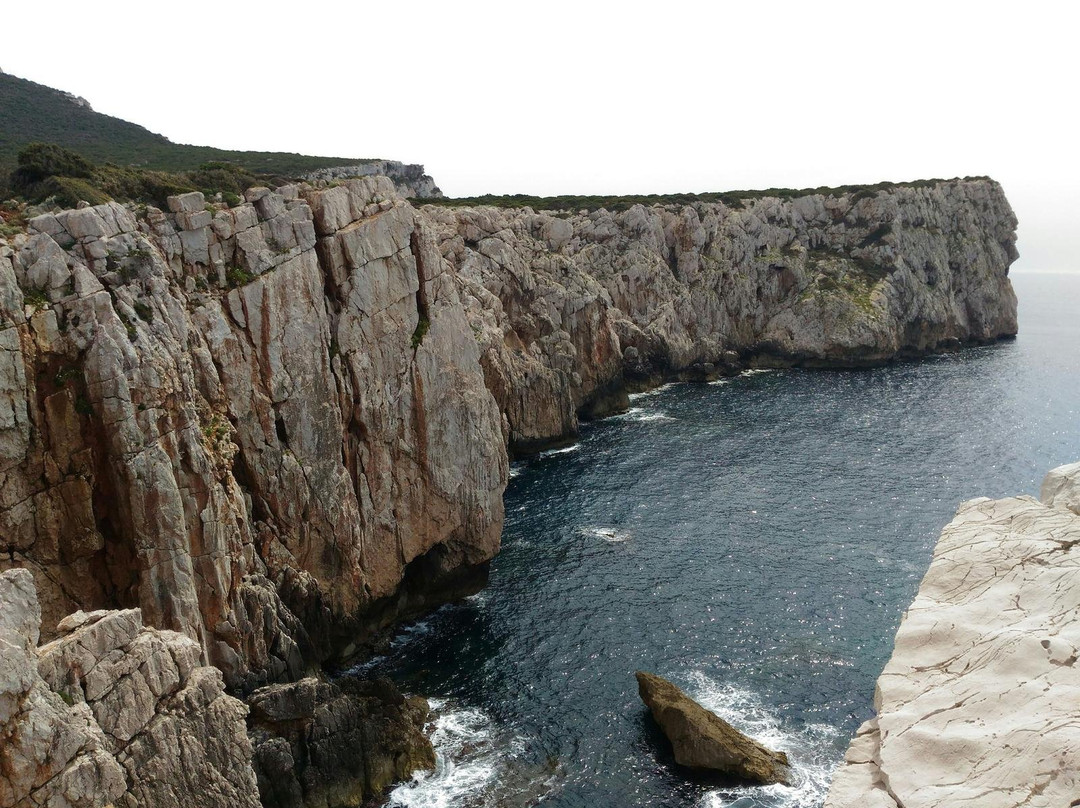 Area Marina Protetta - Capo Caccia / Isola Piana-Tramariglio必去景点