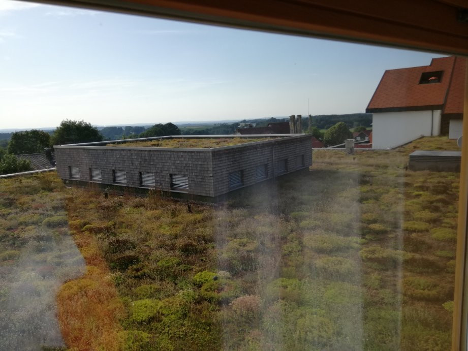 Landhotel Allgaeuer Hof主图