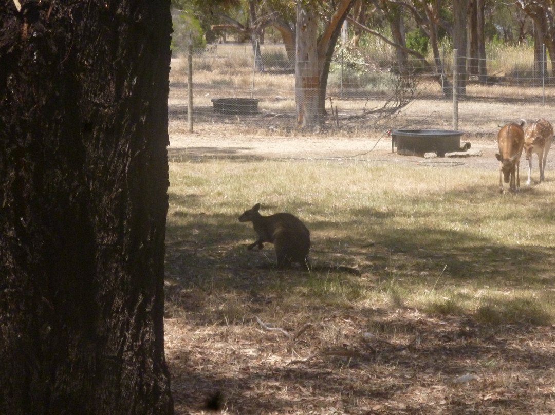 Kaniva Wetlands and Fauna Park-Kaniva必去景点