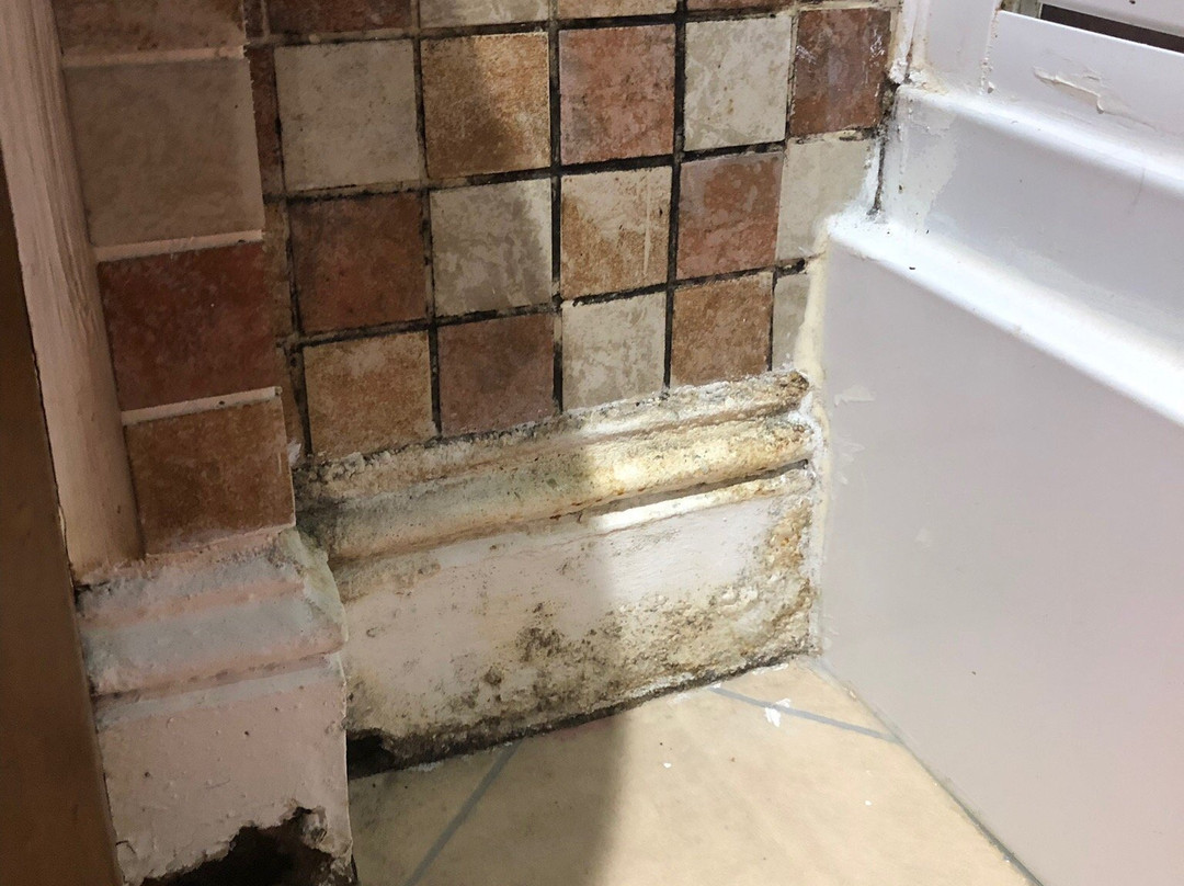 Teviotside Guest House主图