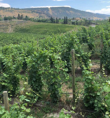 Sagebrush Tours-基洛纳必去景点