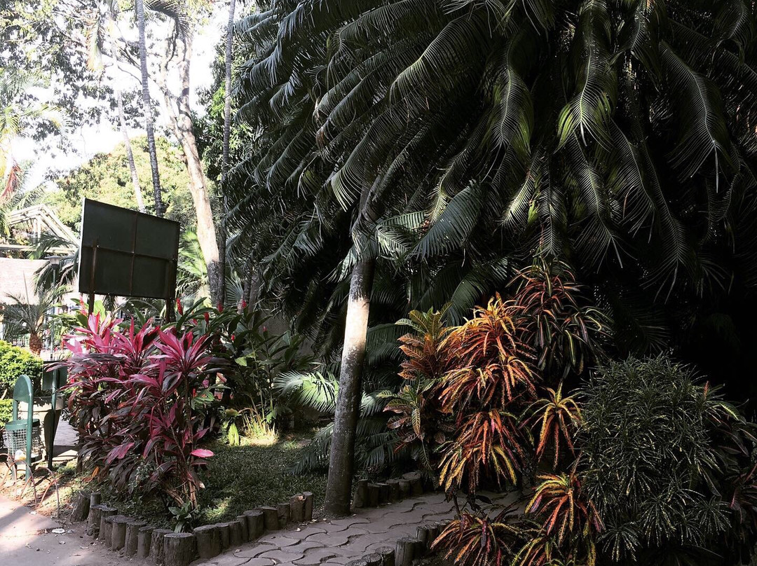 Parque Nacional Noel Kempff Mercado-圣克鲁斯省必去景点