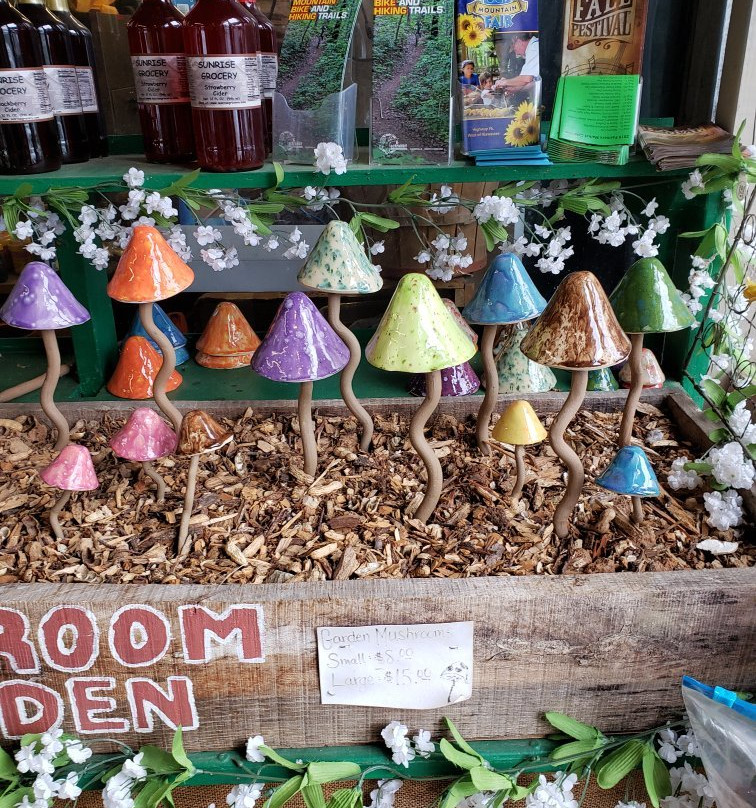 Sunrise Grocery-Blairsville必去景点