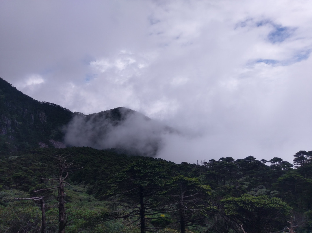 苍山景点图片