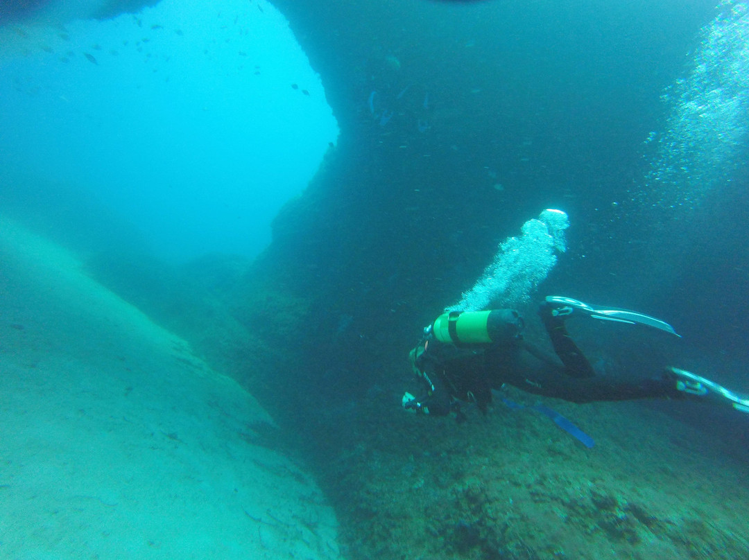 East Coast Divers Mallorca-Portocolom必去景点