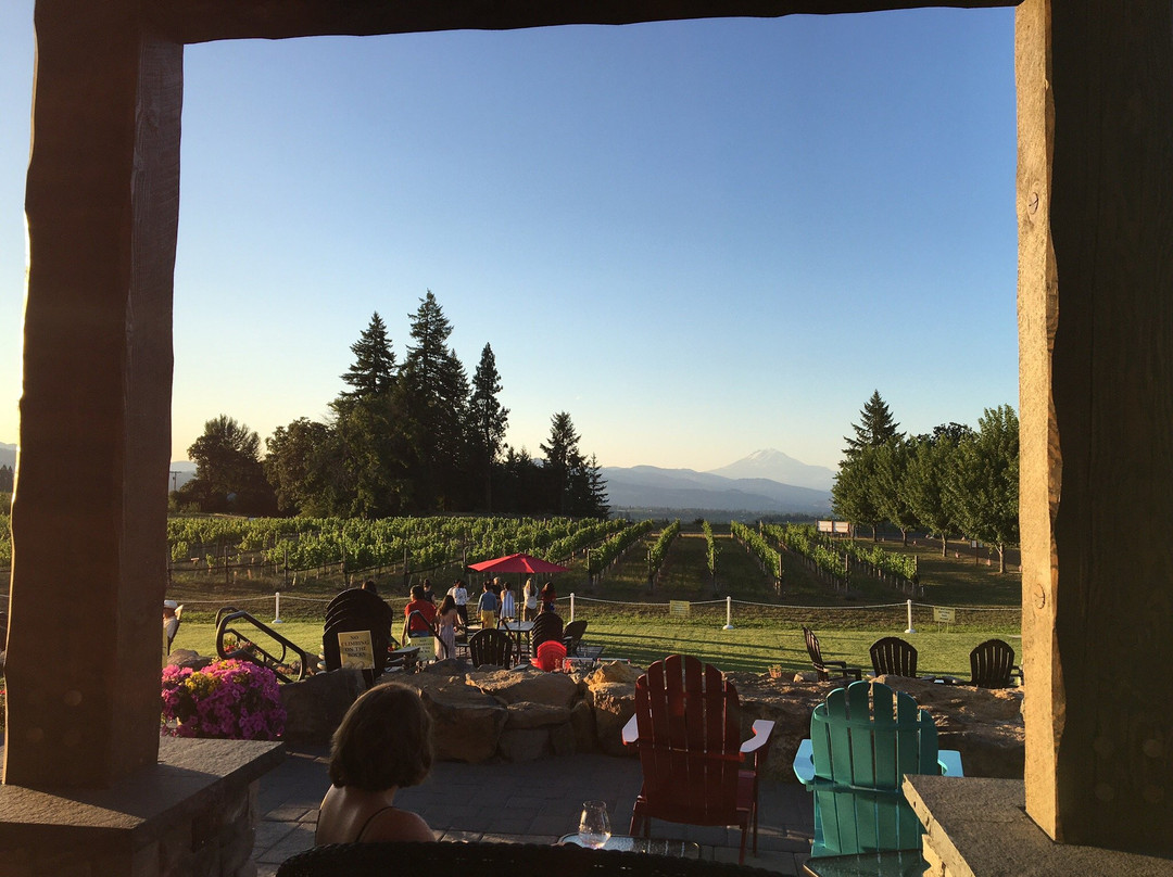 Stave & Stone Winery (Downtown Tasting Room)景点图片