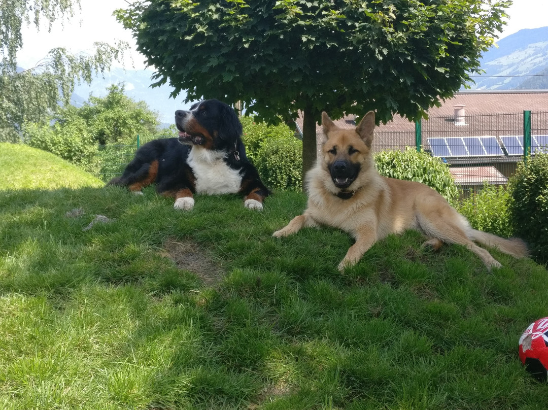 Garten Hotel Magdalena主图