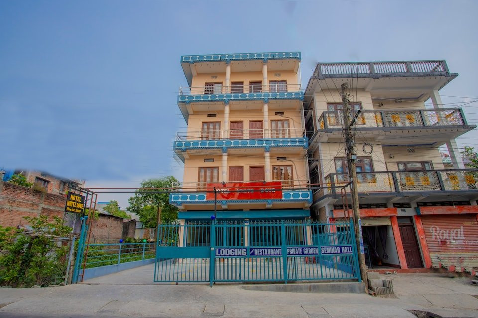 OYO 377 Hotel White Dove主图