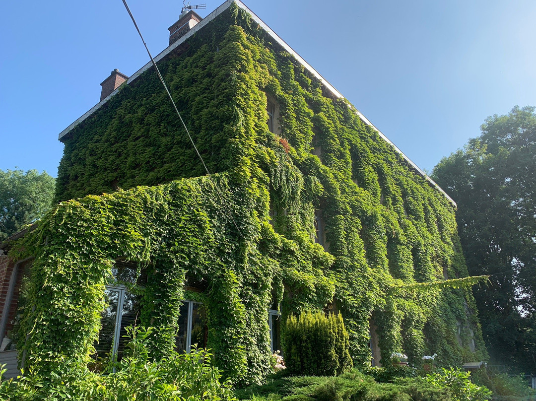 Logis Hôtel le Moulin d'Artres主图
