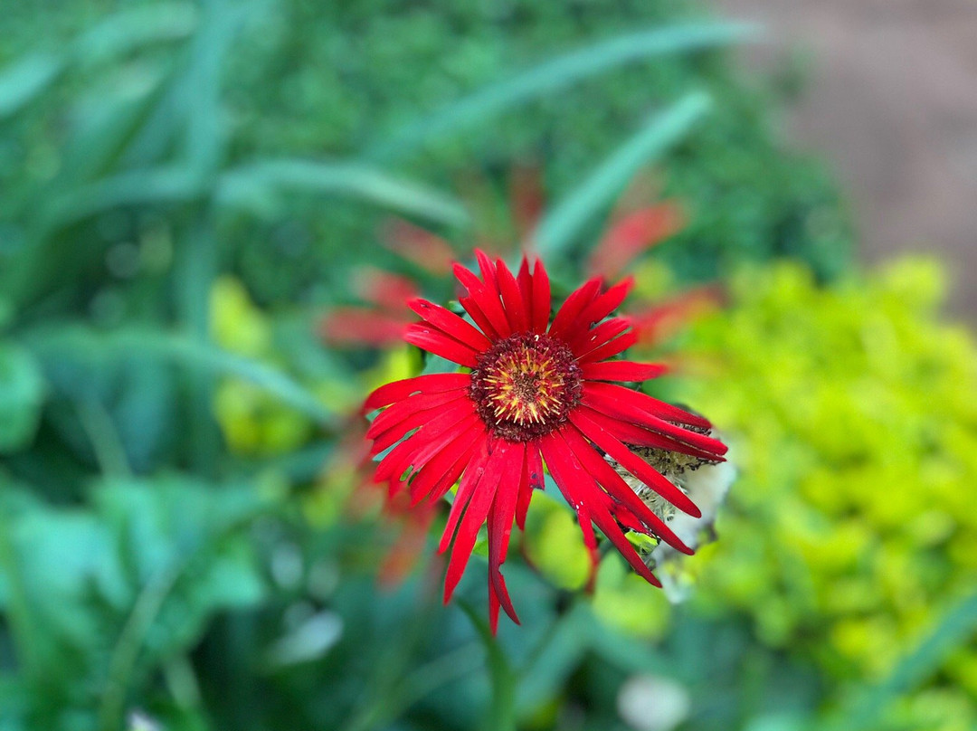 High Court View Hotel主图