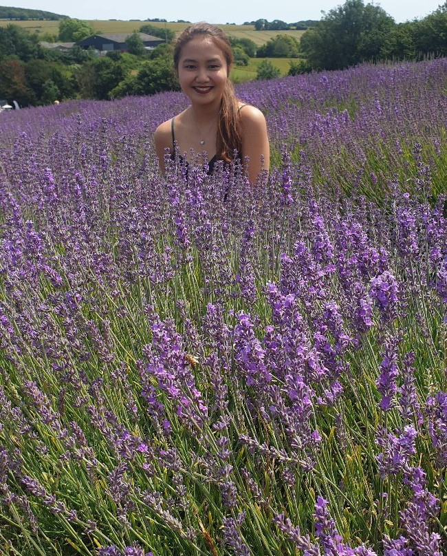Lordington Lavender景点图片