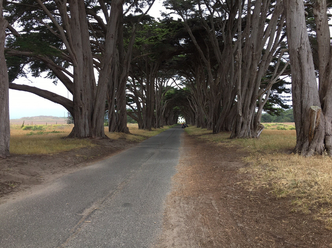 Marconi RCA Wireless Stations-Point Reyes National Seashore必去景点