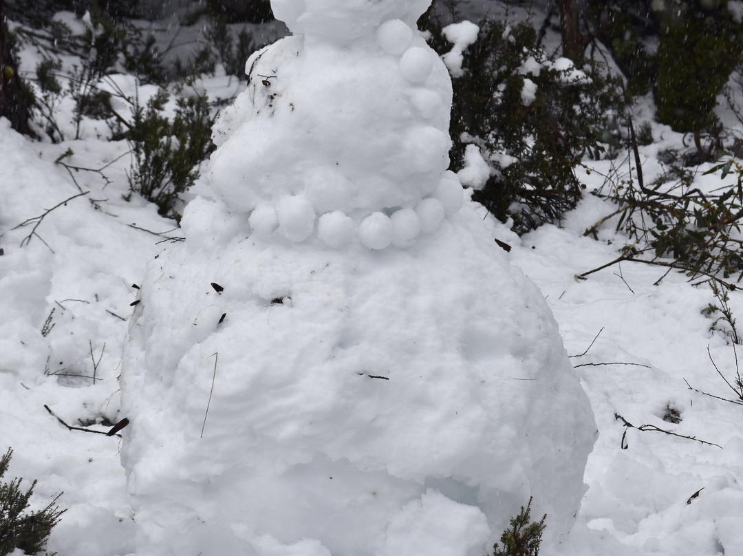 Peppers Cradle Mountain Lodge主图