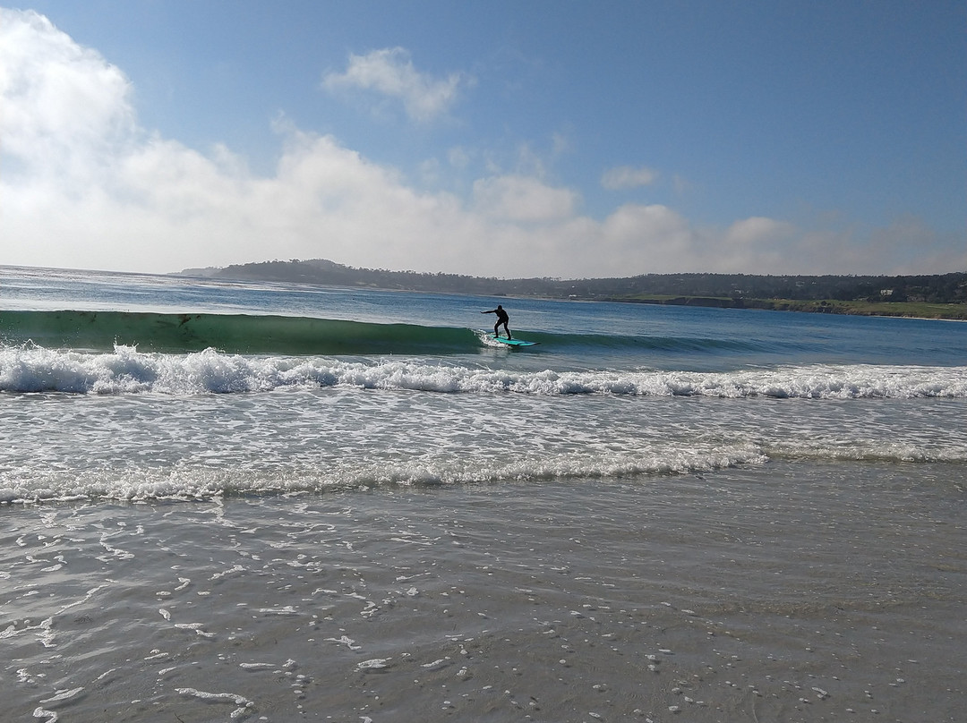 South Bay Surf Lessons景点图片