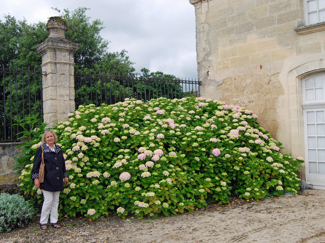 Château d'Abzac景点图片