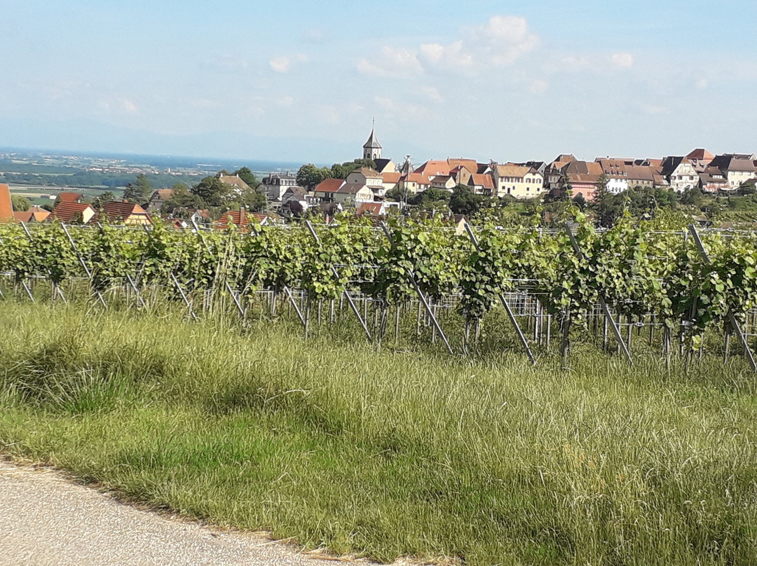 奥雷斯林酒店主图