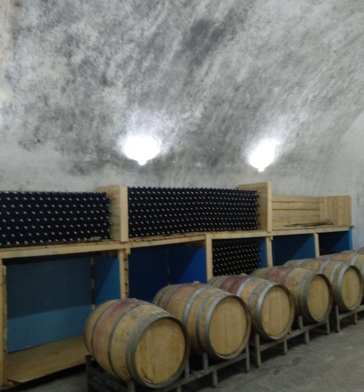 Sintica Winery-圣丹斯基必去景点