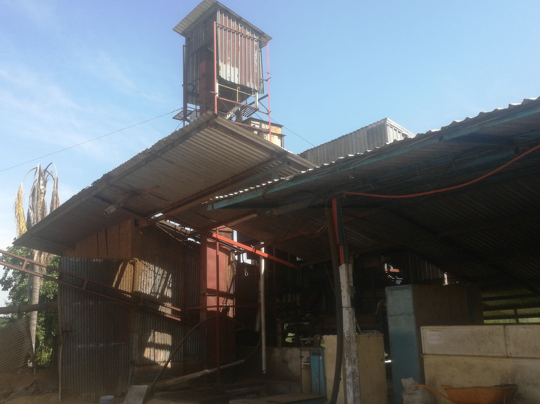 Cafetalera San Felipe-Cordoba必去景点