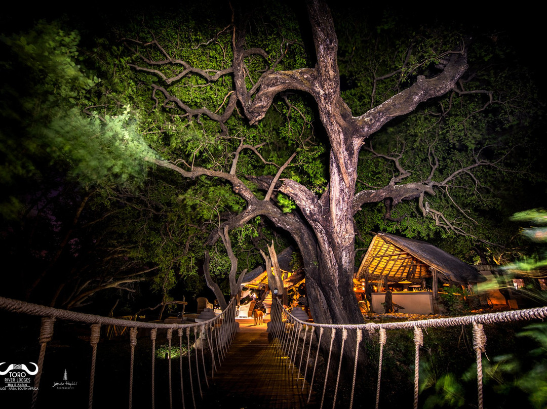 Toro River at Toro River Lodges-霍德斯普鲁特必去景点
