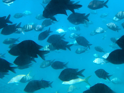 Kenavo Tropical-拉罗马纳必去景点