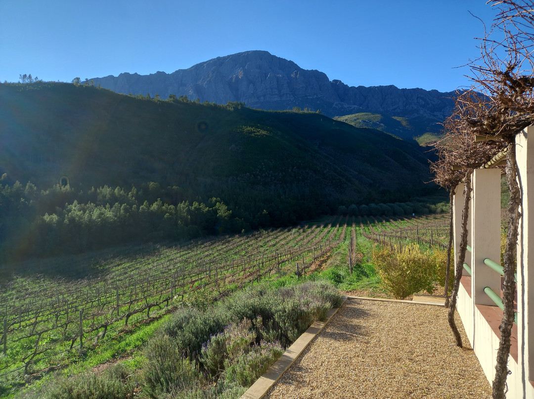 Vredehoek Guest Farm