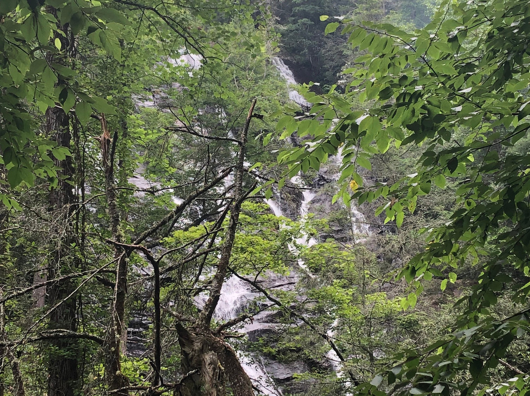 Dukes Creek Falls Trail景点图片